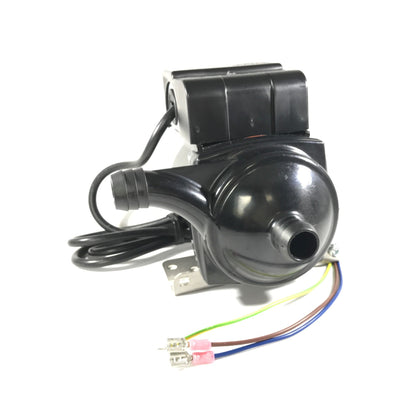  Jacuzzi® 240VAC 50HZ Hot Tub Circulation Pump - 6000-125