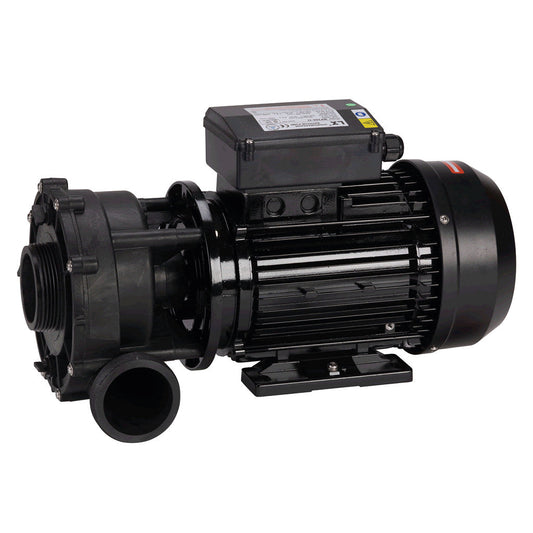  Jacuzzi® 2 Speed Hot Tub Pump