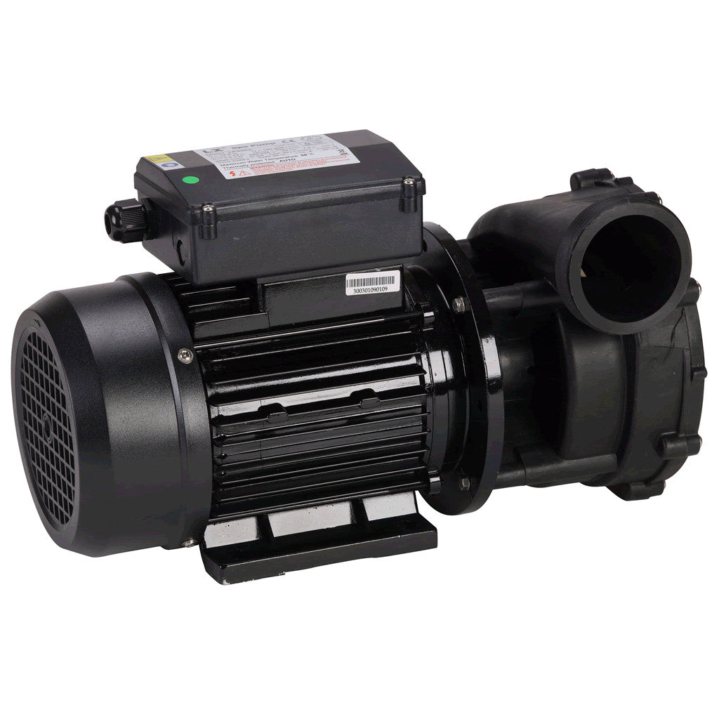  Jacuzzi® 1 Speed Hot Tub Pump